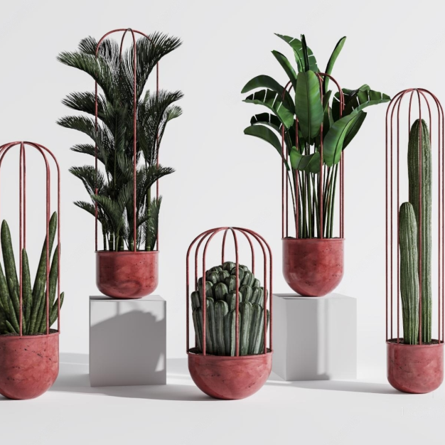 植物盆栽3D模型