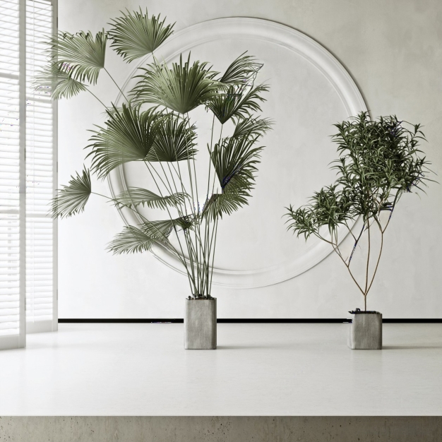 植物盆栽3D模型