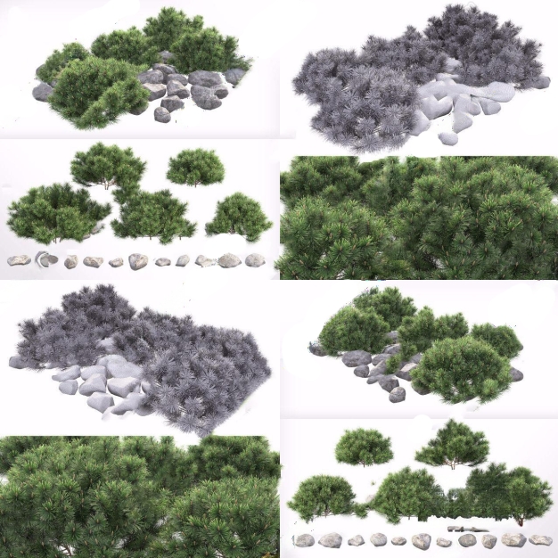 松树 石头3D模型