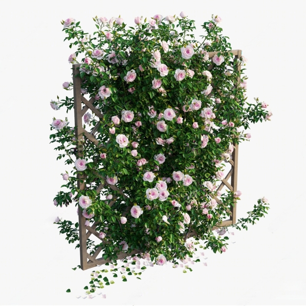 现代绿植墙 绿篱3D模型