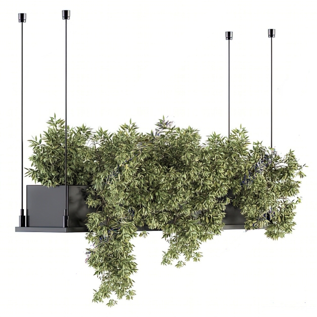 现代绿植吊篮3D模型