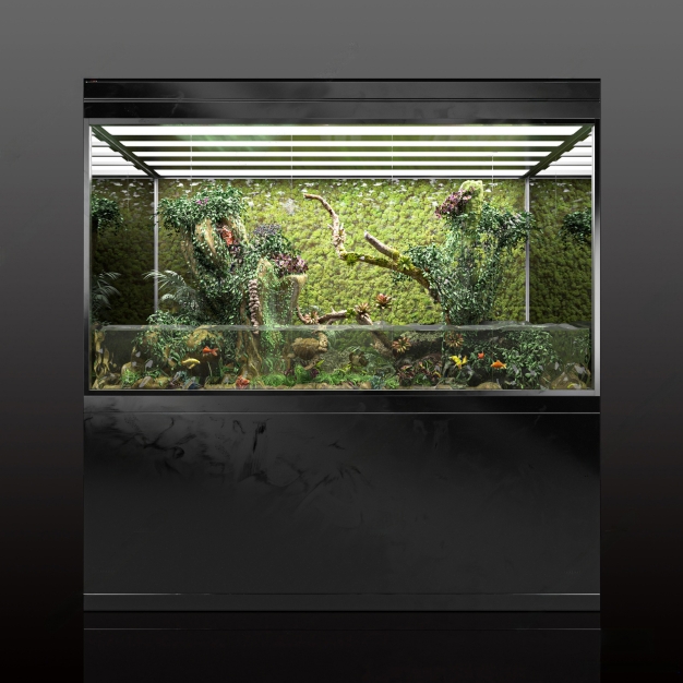 现代鱼缸水族3D模型