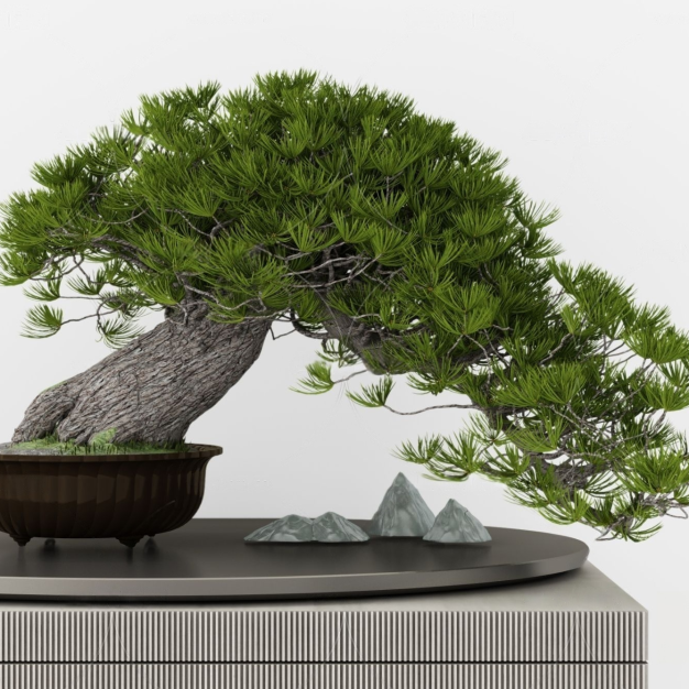 新中式松树盆栽3D模型