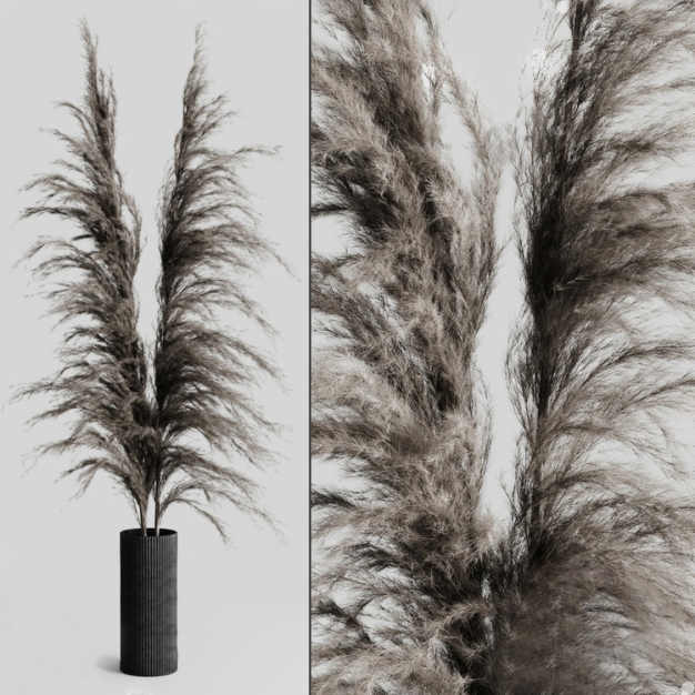 芦苇蒲苇3D模型