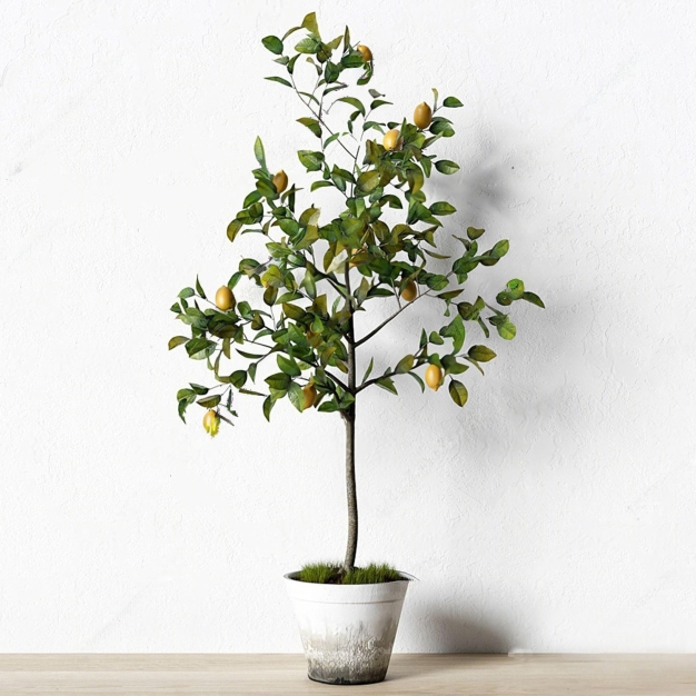 植物盆栽3D模型