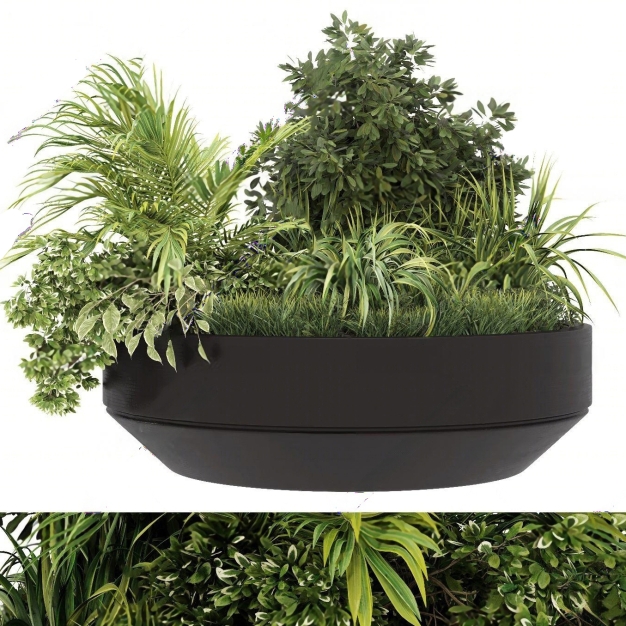 植物盆栽3D模型