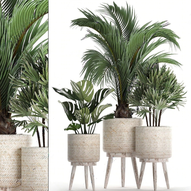 北欧绿植盆栽3D模型