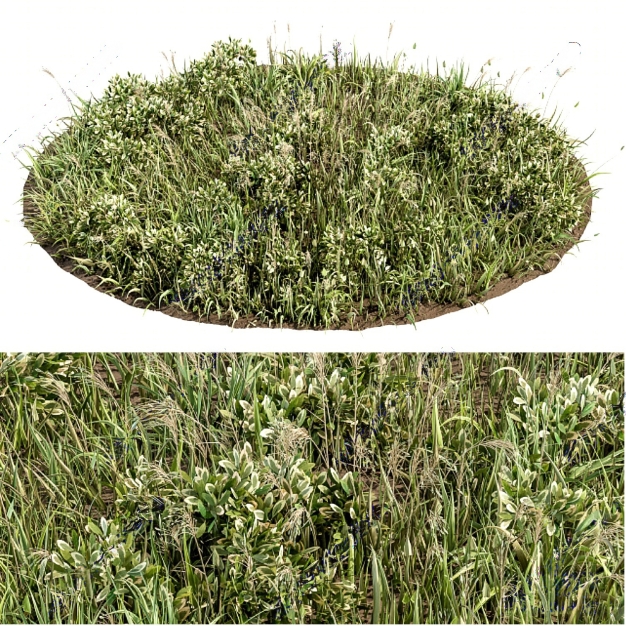 草坪3D模型