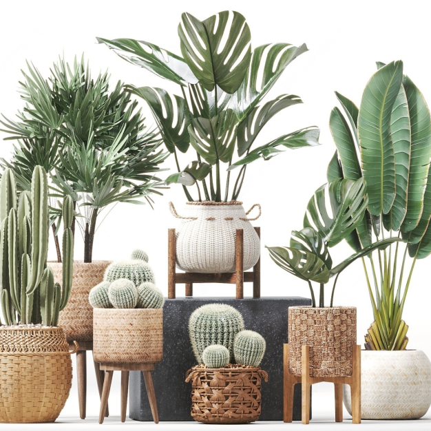 植物盆栽3D模型