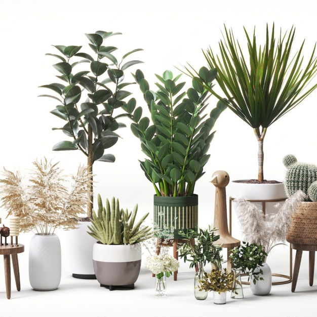 北欧植物盆栽3D模型