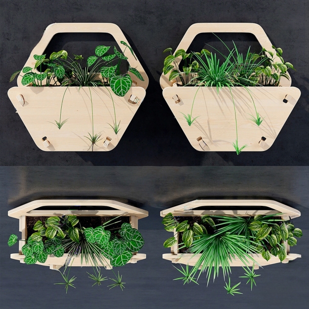 挂墙式绿植盆栽3D模型