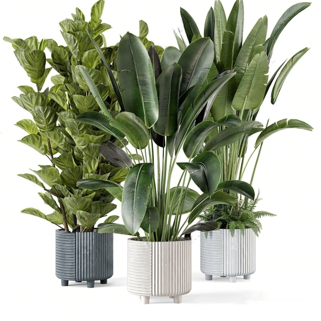 植物盆栽3D模型