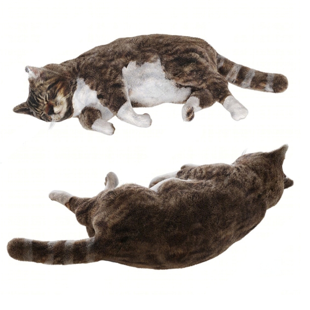 猫3D模型