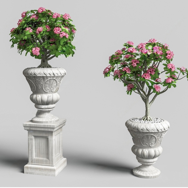 花钵3D模型