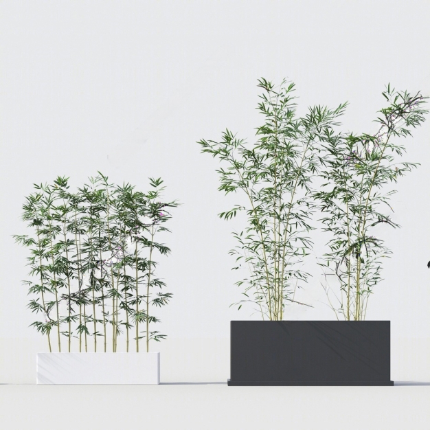 绿植竹子3D模型
