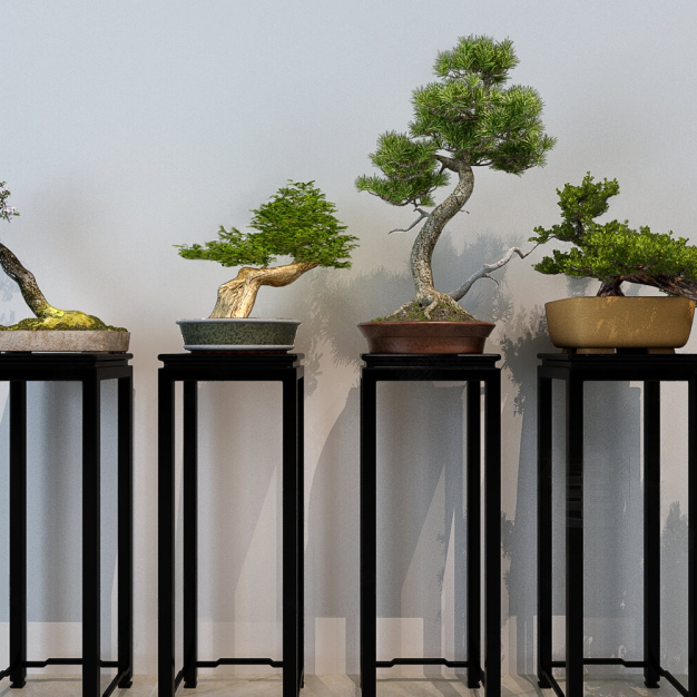盆栽盆景3D模型