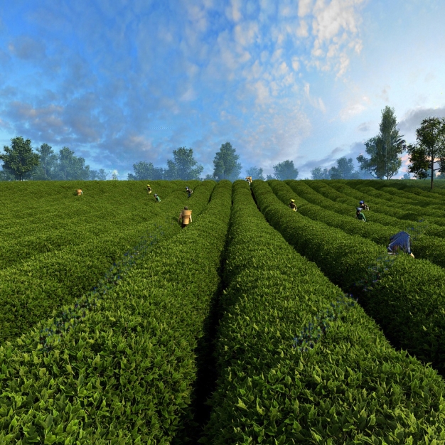 现代茶园3D模型