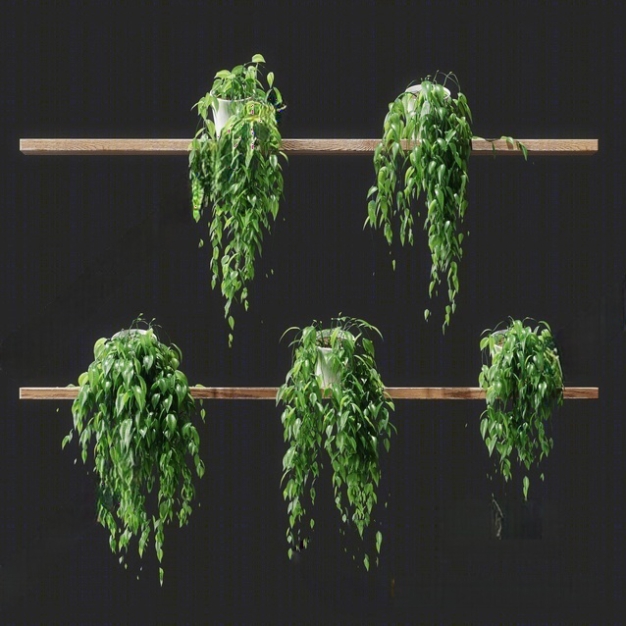现代吊篮 植物3D模型
