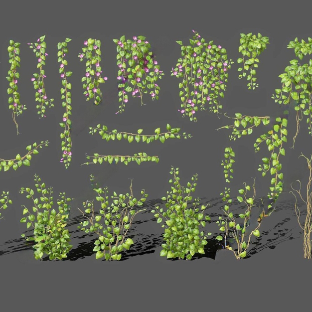 藤蔓植物3D模型