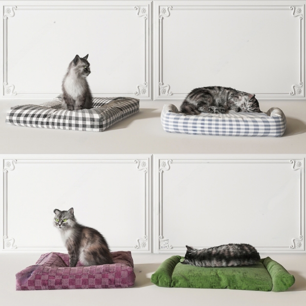 猫组合3D模型