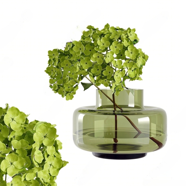 现代水生植物3D模型