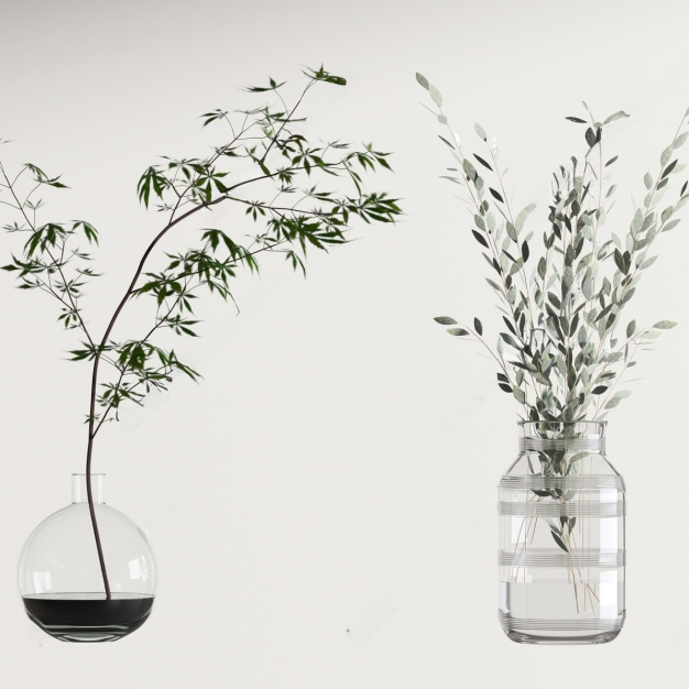  现代水生植物3D模型