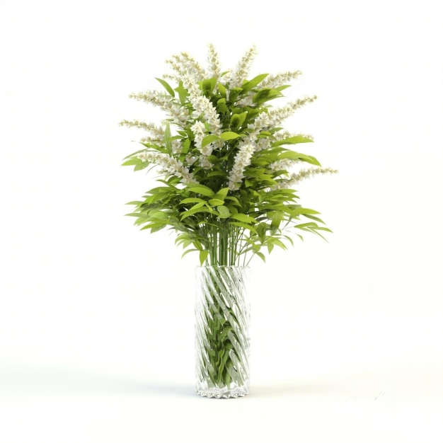  现代水生植物3D模型