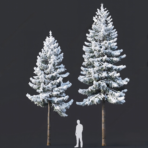 现代雪景松树3D模型