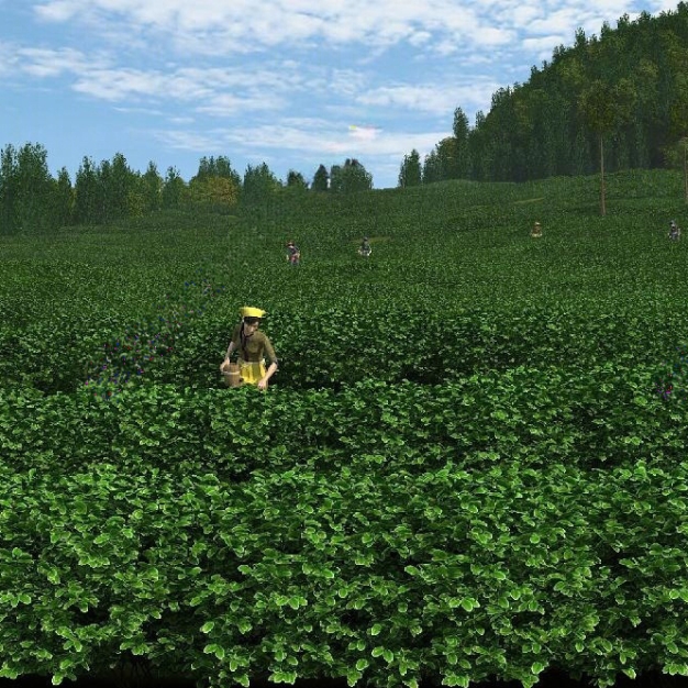 现代山地茶园3D模型