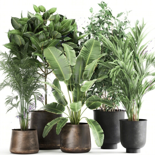 现代植物盆栽盆景组合3D模型