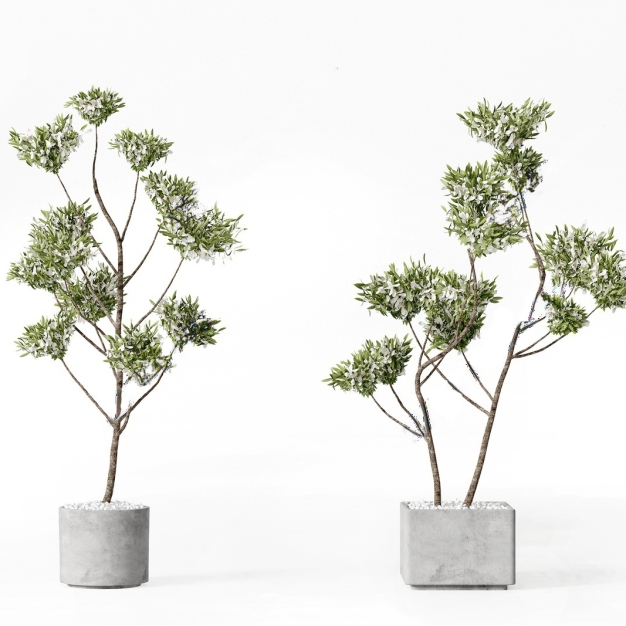 植物盆栽组合3D模型