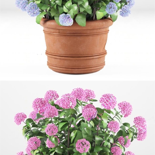 现代植物盆栽3D模型
