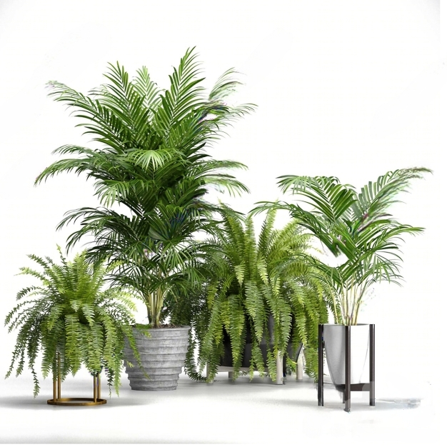现代植物盆栽组合3D模型