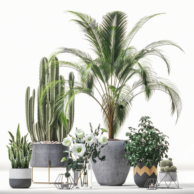 现代植物盆栽组合3D模型