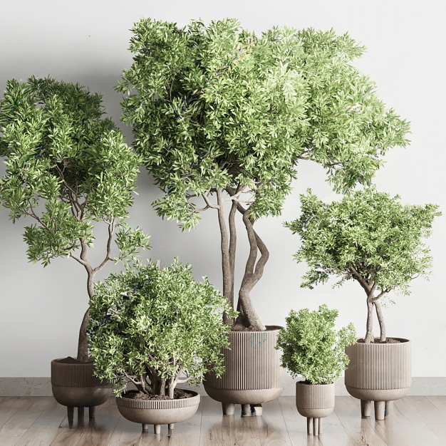 植物盆栽组合3D模型