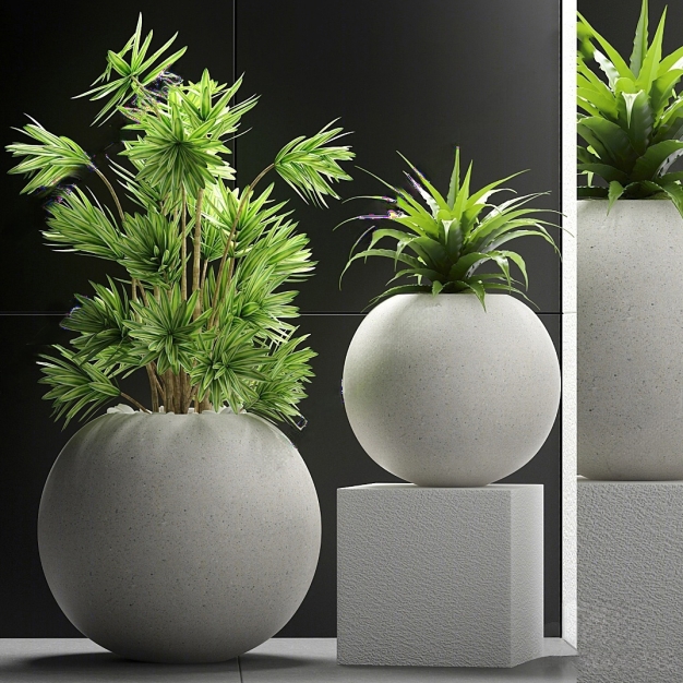 植物盆栽3D模型