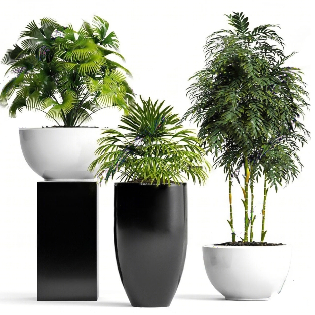 现代绿植盆栽盆景组合3D模型