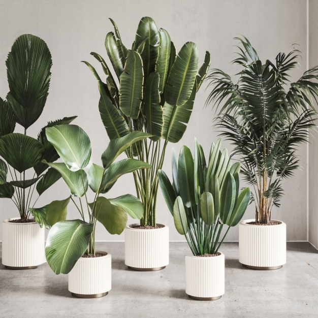 现代植物盆栽组合3D模型