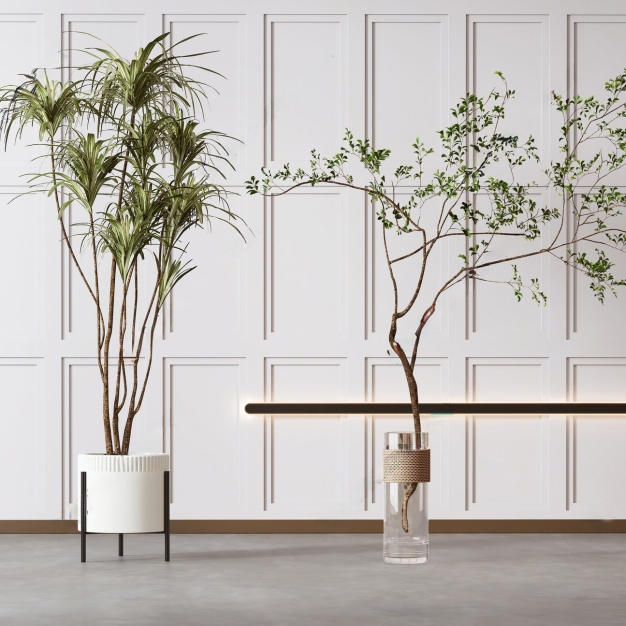 植物盆栽组合3D模型