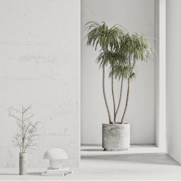 植物盆栽3D模型