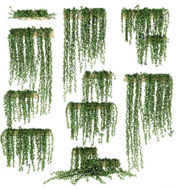 植物藤蔓3D模型