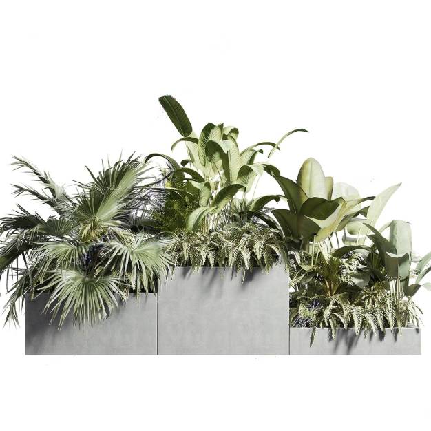 植物 花箱 盆栽3D模型