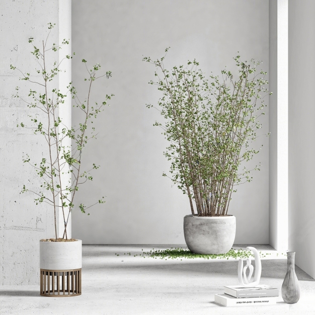 植物盆栽组合3D模型