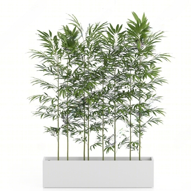 竹子植物组合3D模型