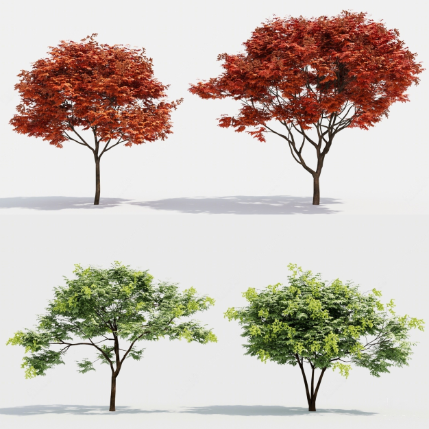 植物 树木3D模型