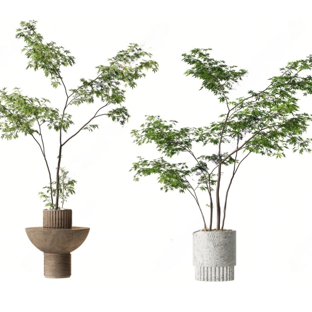 现代植物盆栽组合3D模型