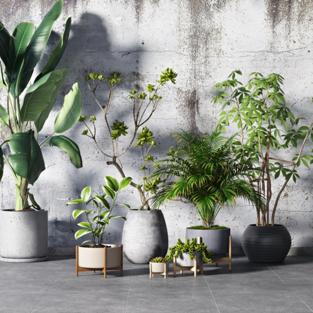 植物盆栽组合3D模型