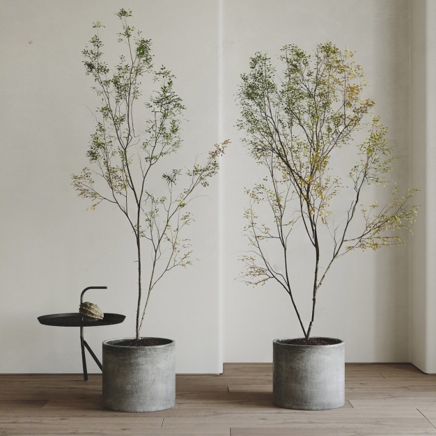 现代绿植盆栽盆景组合3D模型