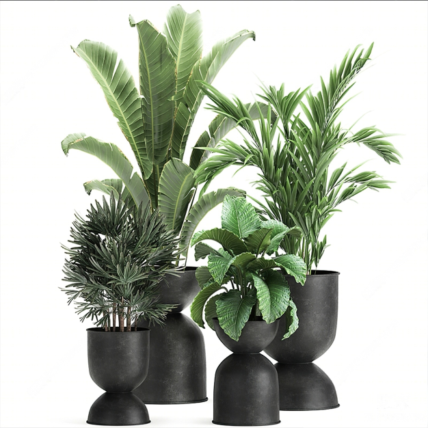 植物盆栽组合3D模型