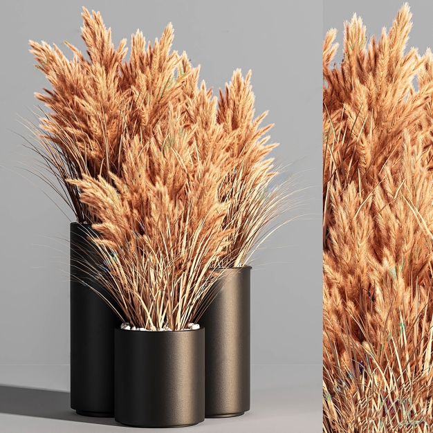 植物盆栽3D模型